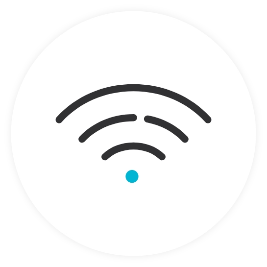 network icon